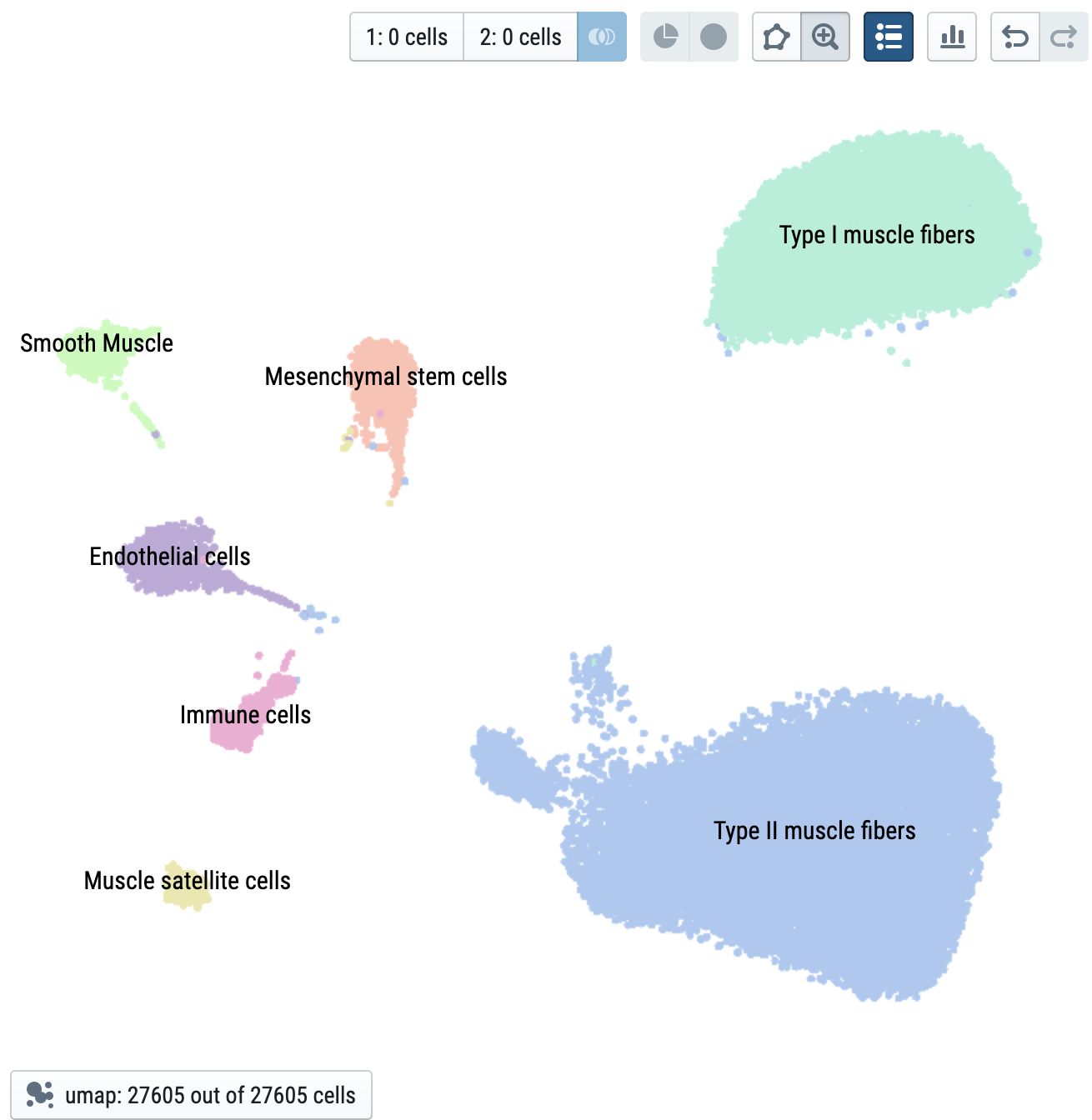 Generate h5ad files for embedding datatype and cellxgene browser